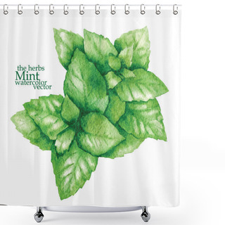 Personality  Sketch Of Mint. Vector Illustration.  Shower Curtains