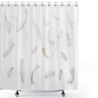 Personality  Seamless Background With Grey Faint Feathers Isolated On White Shower Curtains