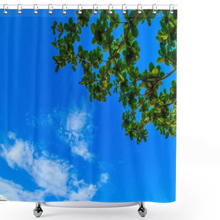 Personality  Clear Blue Sky With White Clouds. Cloudless Sky. Blue Sky With A Shower Curtains