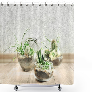 Personality  Succulent Gardens In Glass Vases Shower Curtains