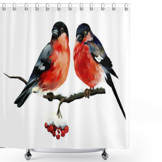 Personality  Two Thick Bullfinches Shower Curtains