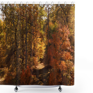 Personality  Trees With Yellow And Green Leaves In Autumnal Park At Day  Shower Curtains