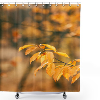 Personality  Orange Autumn Foliage On Blurred Background  Shower Curtains