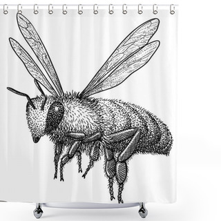 Personality  Flying Bee Illustration, Drawing, Engraving, Ink, Line Art, Vector Shower Curtains