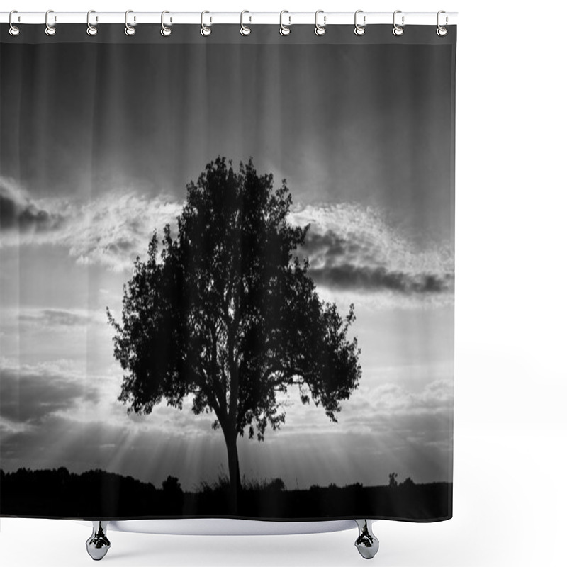 Personality  Tree in black and white shower curtains