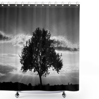 Personality  Tree In Black And White Shower Curtains