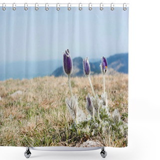 Personality  Spring Flowers  Shower Curtains