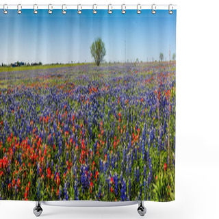 Personality  A Wide Angle High Resolution Panoramic View Of A Beautiful Field Of Texas Wildflowers. Shower Curtains