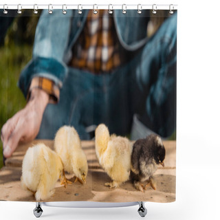 Personality  Cropped Image Of Male Farmer Holding Wooden Board With Adorable Baby Chicks Outdoors  Shower Curtains