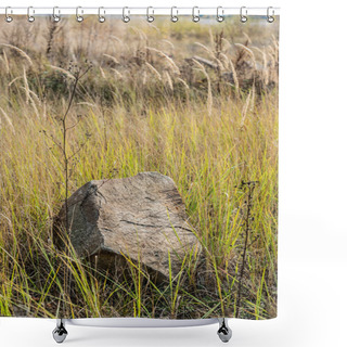 Personality  Stone On Ground Near Green Grass In Field  Shower Curtains