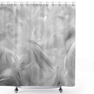 Personality  Feathers Bw Background Shower Curtains