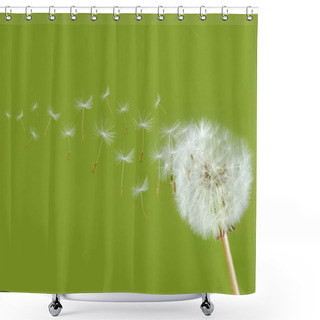 Personality  Dandelion Seed Head Shower Curtains
