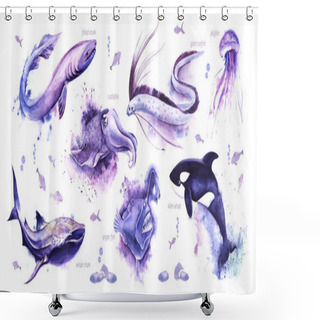 Personality  Watercolor Set Of Sea Animals With Signatures On White Backdrop With Small Fish. Hand Drawn Illustration Of Frilled Shark, Cuttlefish, Giant Oarfish, Jellyfish, Whale Shark, Angler Fish, Killer Whale Shower Curtains