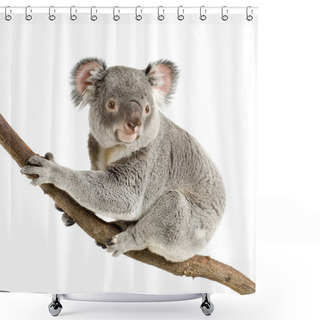 Personality  Koala Shower Curtains