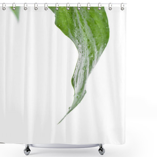 Personality  Fresh Grean Leaf With Water Drops Shower Curtains