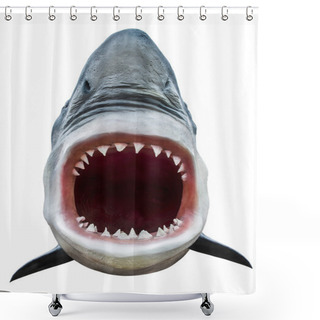 Personality  Shark Attack Shower Curtains