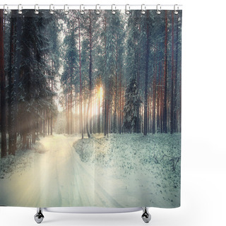 Personality  Winter Pine Forest Shower Curtains