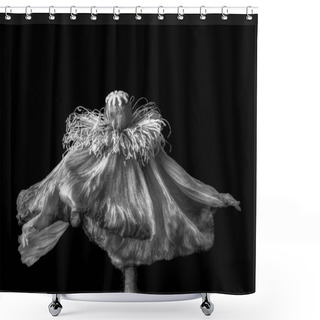Personality  Floral Still Life Monochrome Macro Of A Single Isolated Fading Satin / Silk Poppy Blossom On Black Background In Surrealistic Vintage Painting Style Shower Curtains