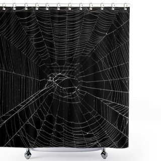 Personality  Real Spider Web Isolated On Black Shower Curtains