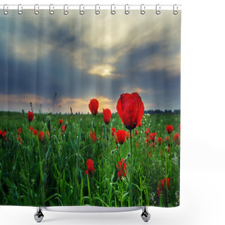 Personality  Picturesque Meadow With Red Poppies Shower Curtains