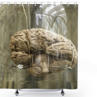 Personality  Human Brain In Boat Shower Curtains