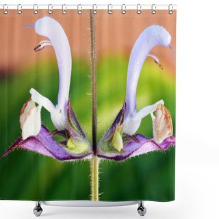 Personality  Salvia Sclarea Close Up Shower Curtains