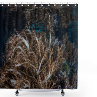 Personality  Soft Corals In Shallows Of Raja Ampat Shower Curtains