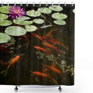 Personality  Koi Fish Shower Curtains
