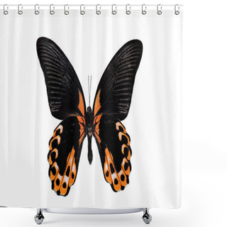 Personality  Big Butterfly With Yellow Wings, Isolate On White Background, Papilio Rumanzovia Shower Curtains
