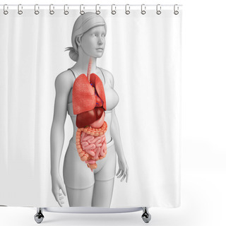 Personality  Digestive System Shower Curtains