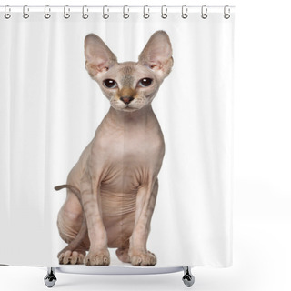 Personality  Portrait Of Sphynx Cat, 6 Months Old, Sitting In Front Of White Background Shower Curtains