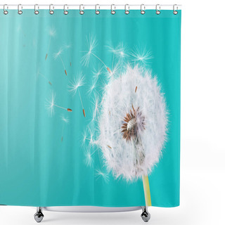 Personality  Dandelion Flying On Cyans Background Shower Curtains