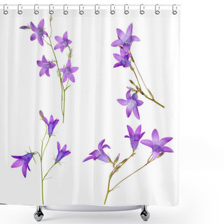 Personality  Set Of Spreading Bellflowers On White Shower Curtains