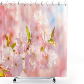 Personality  Spring Blossoms In Macro Detail Shower Curtains