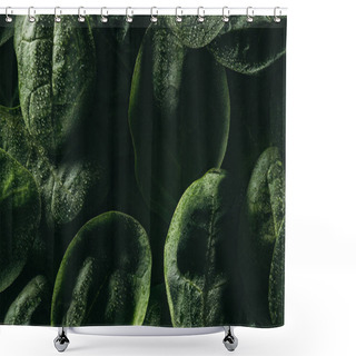 Personality  Dark Floral Background With Fresh Green Leaves And Water Drops Shower Curtains