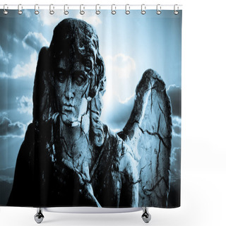 Personality  Decadence Shower Curtains