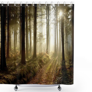 Personality  Forest Path At Sunset Shower Curtains