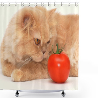 Personality  Cat Is Smelling The Tomato Shower Curtains