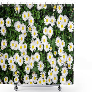 Personality  Background Of White Ox-eye Daisies In Spring Meadow Shower Curtains