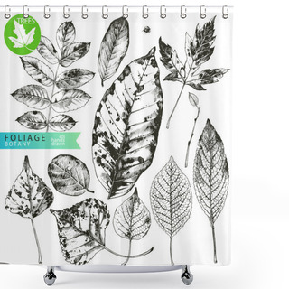 Personality  Foliage Shower Curtains