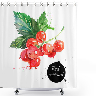 Personality  Watercolor Painting Red Currants Shower Curtains