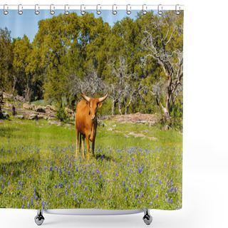 Personality  Beautiful Longhorn Cow Shower Curtains