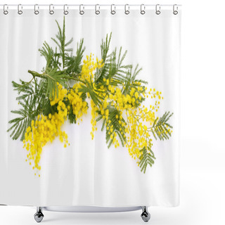 Personality  Branch Of Mimosa. Shower Curtains
