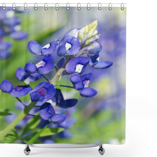 Personality  Texas Bluebonnets Shower Curtains