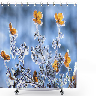 Personality  Winter Flowers Shower Curtains