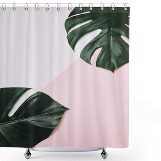Personality  Top View Of Green Monstera Leaves On Pink Surface Shower Curtains