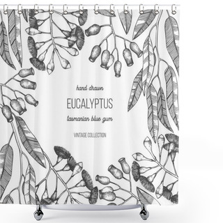 Personality  Eucalyptus Plant Graphic Vector Frame Shower Curtains