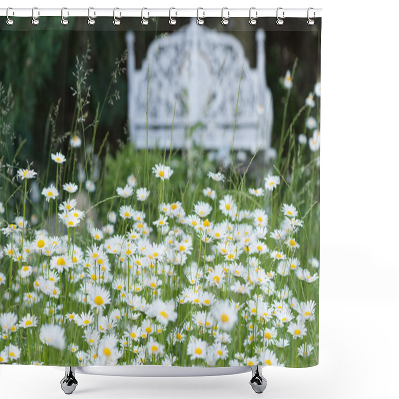 Personality  Daisies In A Garden Shower Curtains