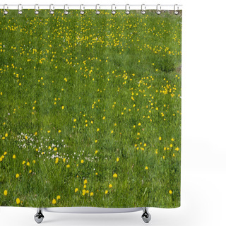 Personality  Blooming Plants With Seasonal Colors Of Springtime. Shower Curtains