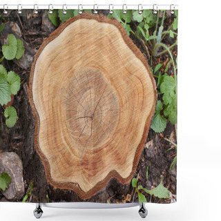 Personality  Beautiful Smooth Cut Cherry Tree. Shower Curtains
